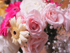 誕生日おめでとう