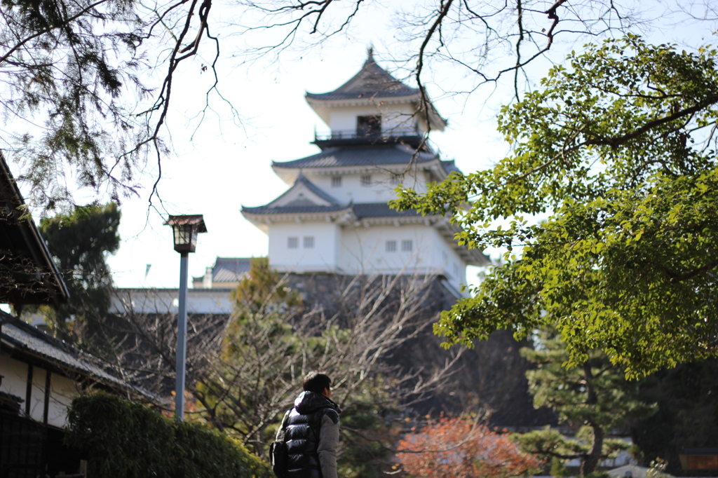 お城と部長
