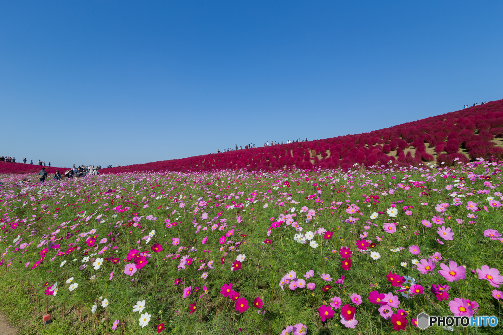 3層を楽しむ
