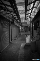 Yokosuka Street Snap #5