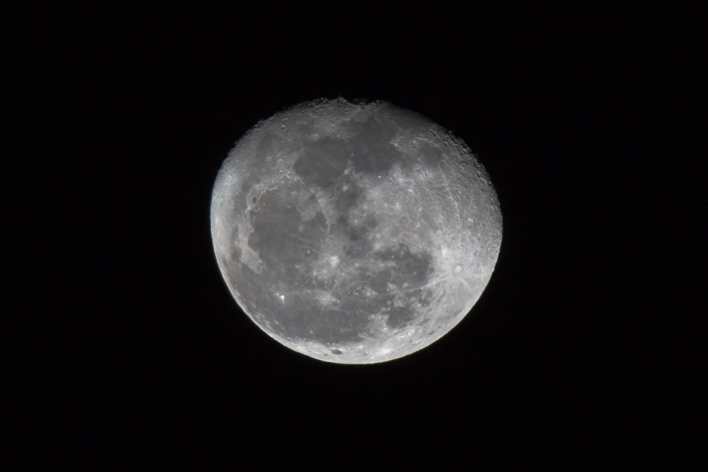 SP 150-600mm F/5-6.3 Di VC USD試写3