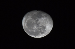 SP 150-600mm F/5-6.3 Di VC USD試写3