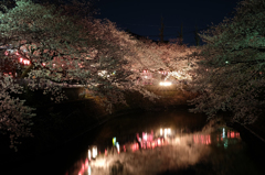 2014大岡川お花見散歩 15
