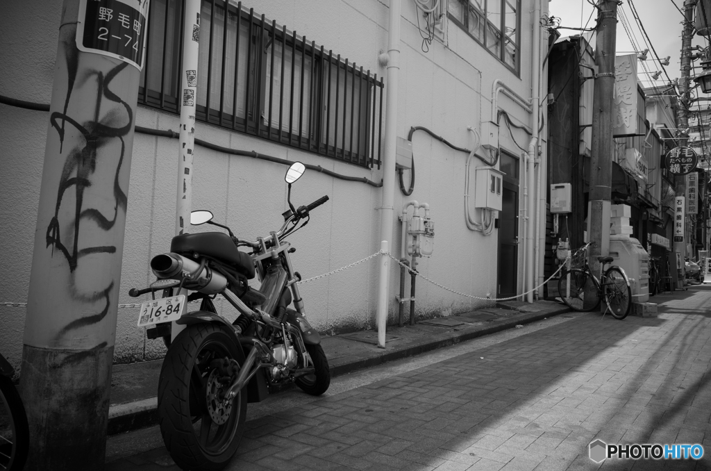 Noge Street Snap #33