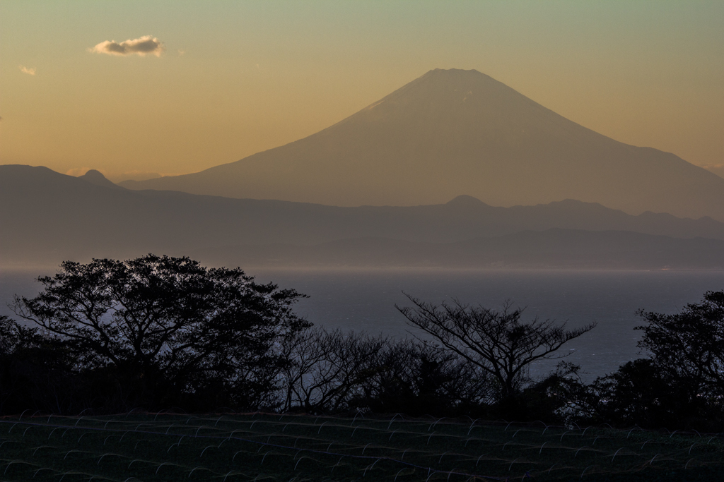 夕暮れの富士