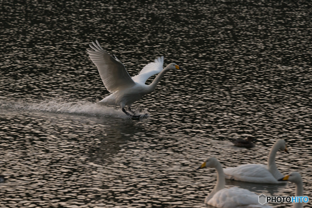 滑り込みセ～フ♪