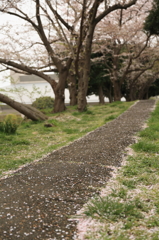 また来年♪