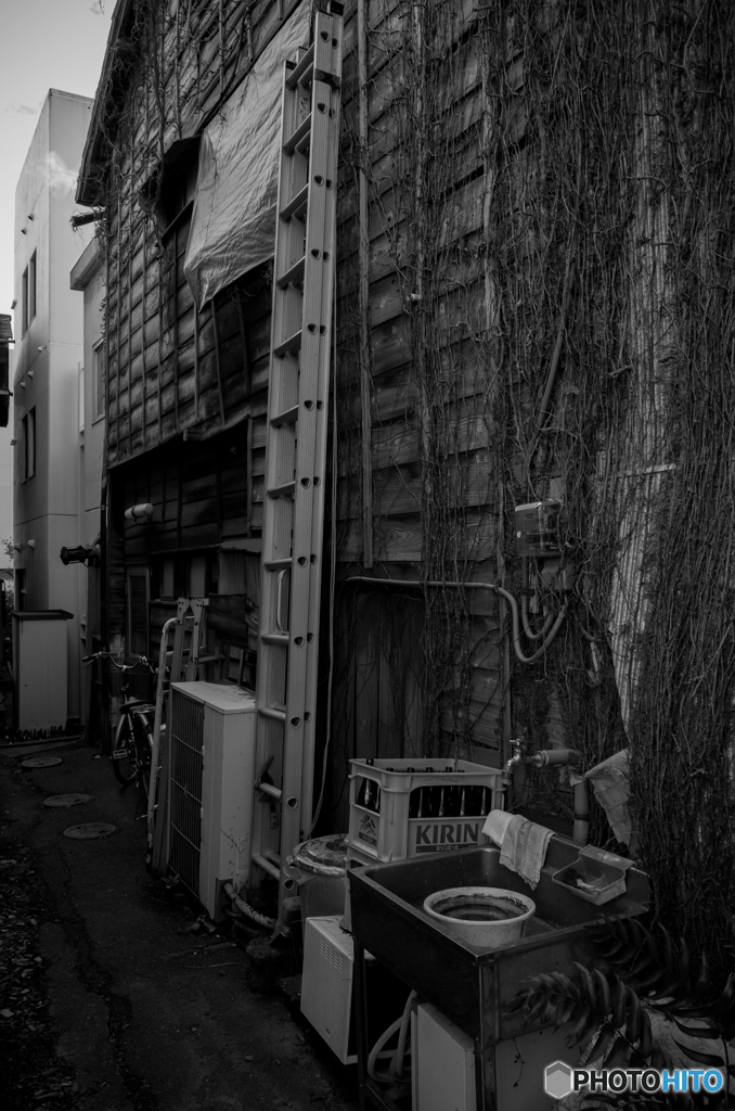 lunch snap #2