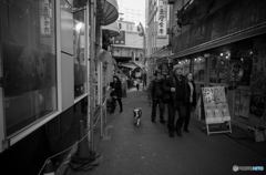 Ame-Yoko snap #6
