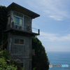 Enoshima Snap #12