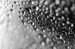 梅雨を楽しむ2