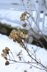 嵐の後5