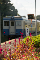 鉄道風景 10