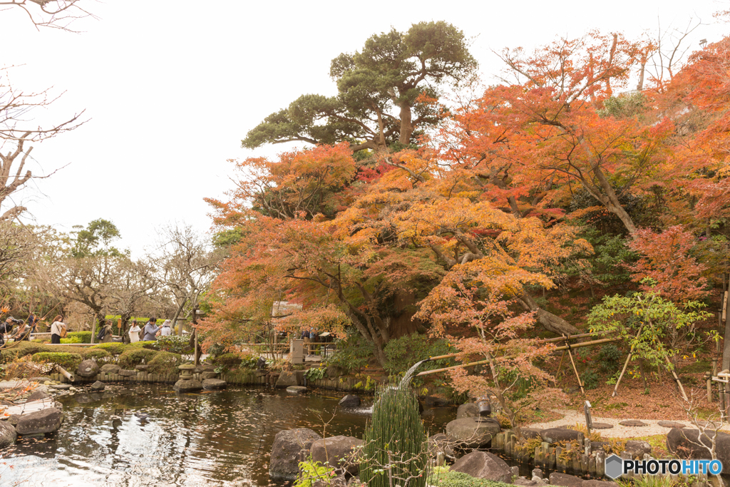 鎌倉紅葉散策@2018 長谷寺-5