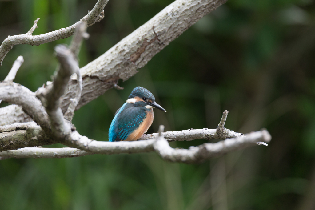 元気が一番！！！！