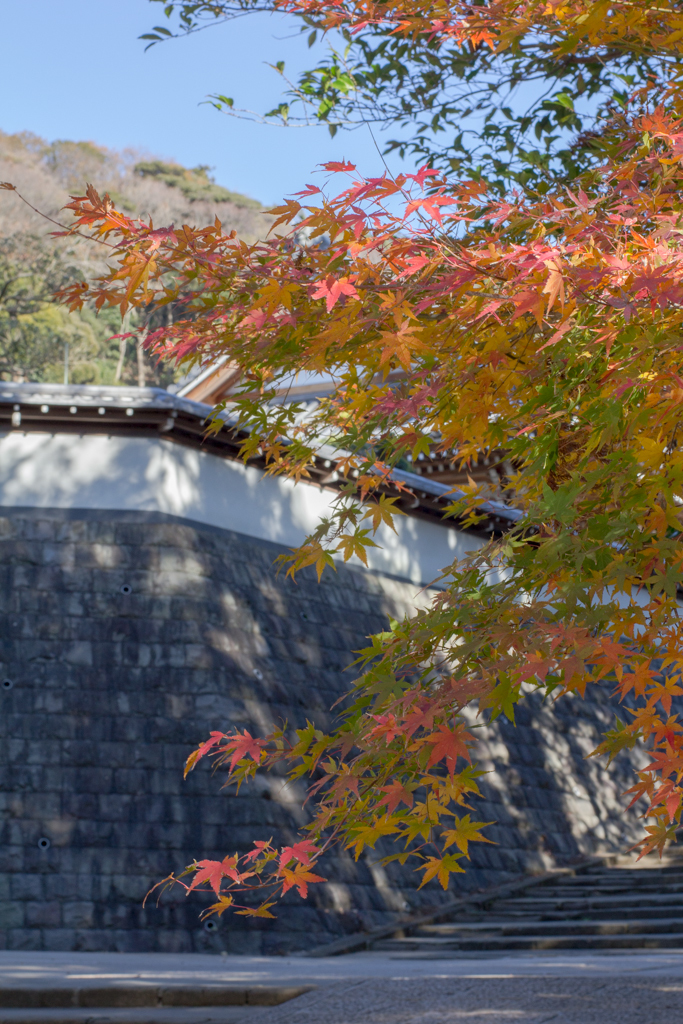 円覚寺の変3