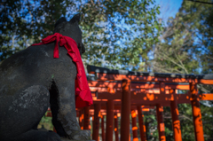 根津神社散策 2