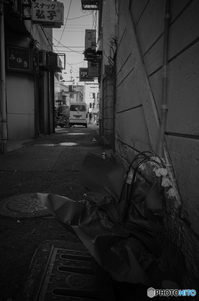 Yokosuka Street Snap #12