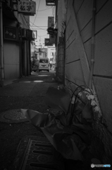 Yokosuka Street Snap #12