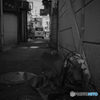 Yokosuka Street Snap #12