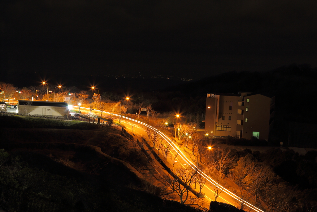 夜の峠道