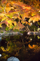 鎌倉長谷寺　紅葉ライトアップ9