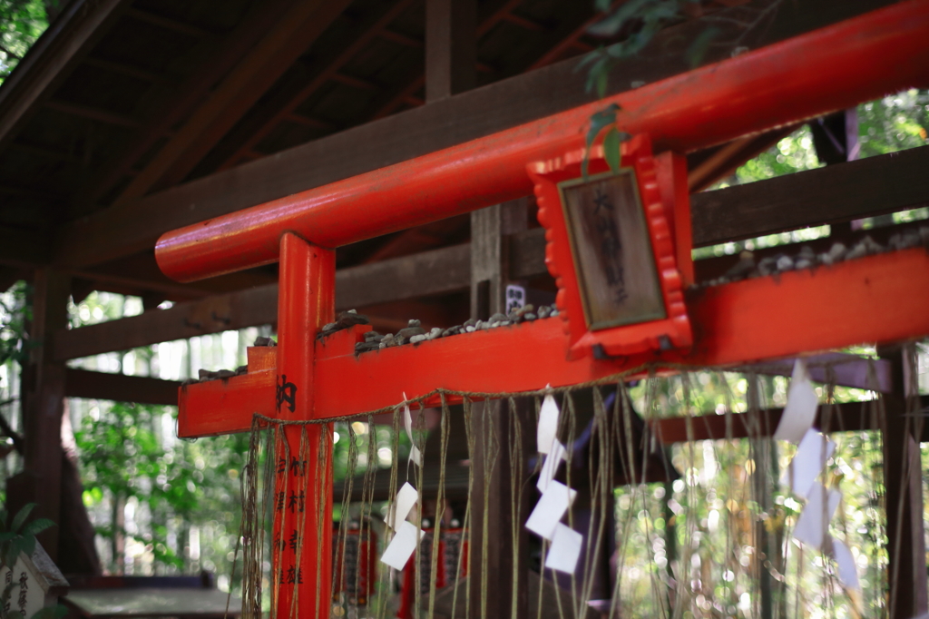 野々宮神社散策3