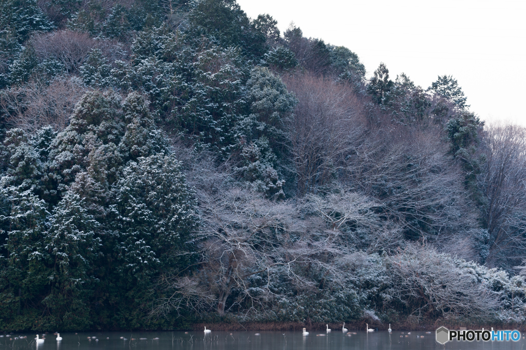 雪景色