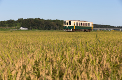 鉄道風景 13