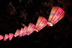 2014大岡川お花見散歩 6