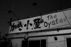気になるもの