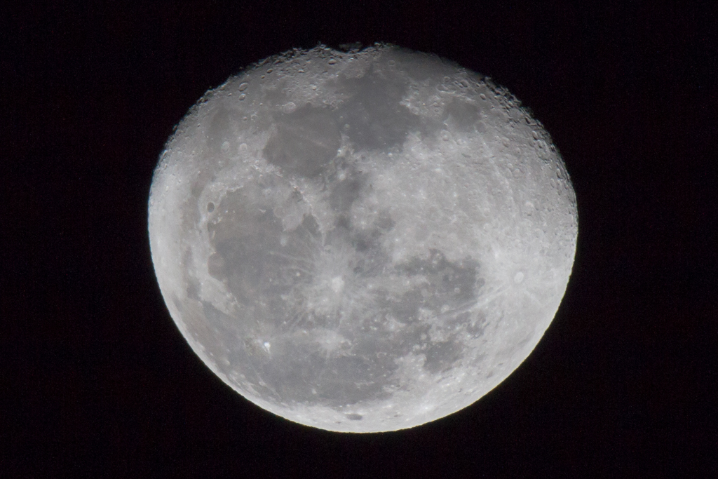 SP 150-600mm F/5-6.3 Di VC USD試写5