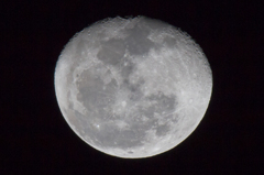 SP 150-600mm F/5-6.3 Di VC USD試写5