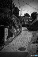 Dobuita Street Snap #7
