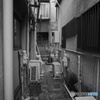 Yokosuka Street Snap #14