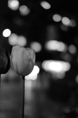 雨の夜に彩を 8