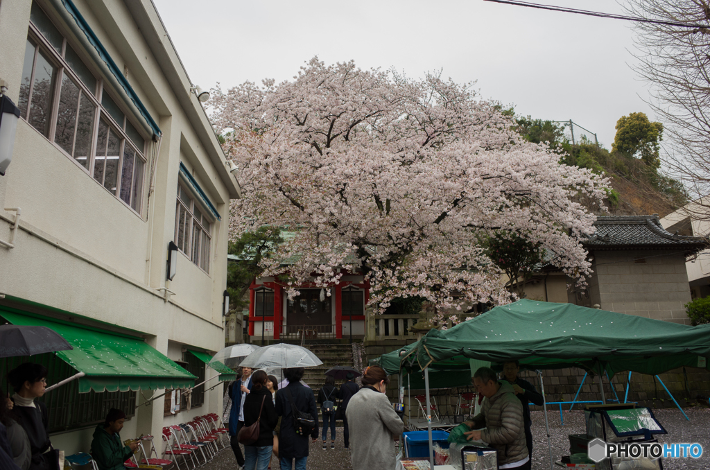 雨の元町