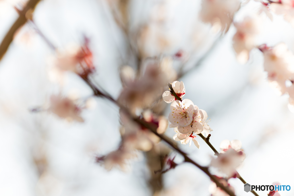 いい塩梅 #1