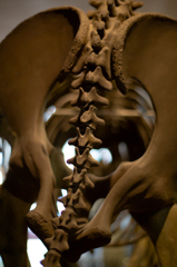 Bone Art