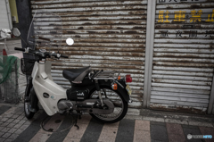 Dobuita Street Snap #20