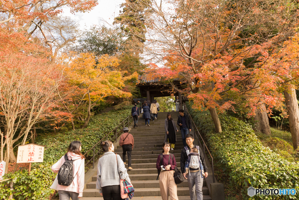 鎌倉紅葉散策@2018 円覚寺-1