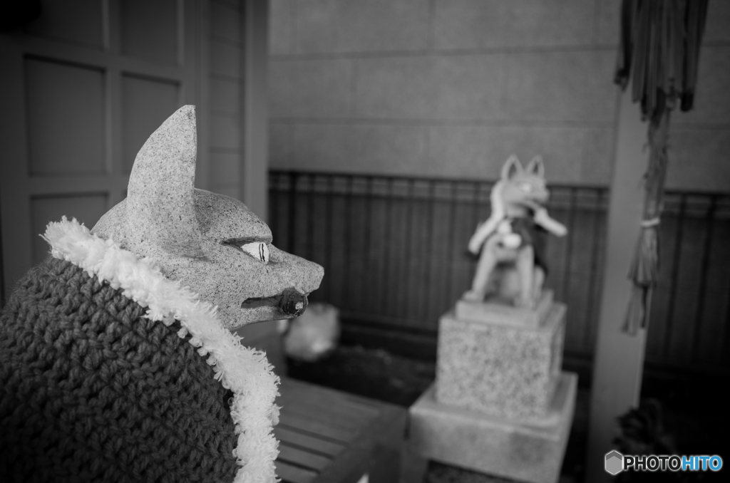 見つめ合う