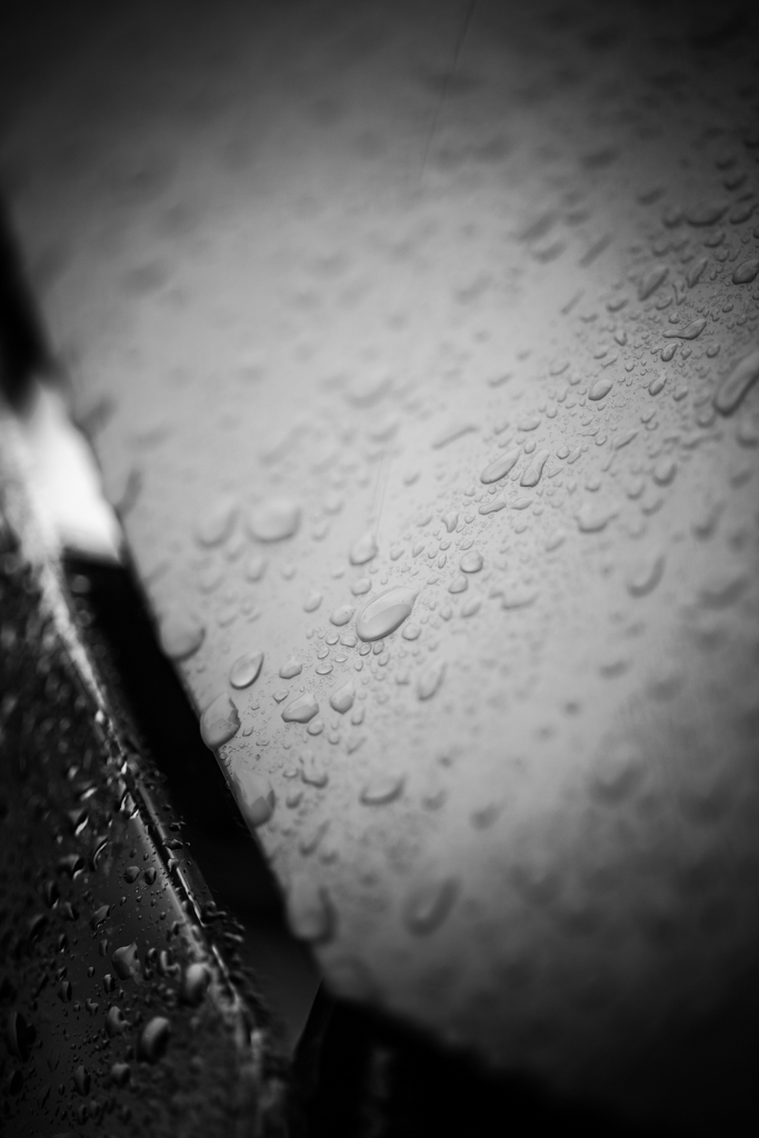 to get wet with rain