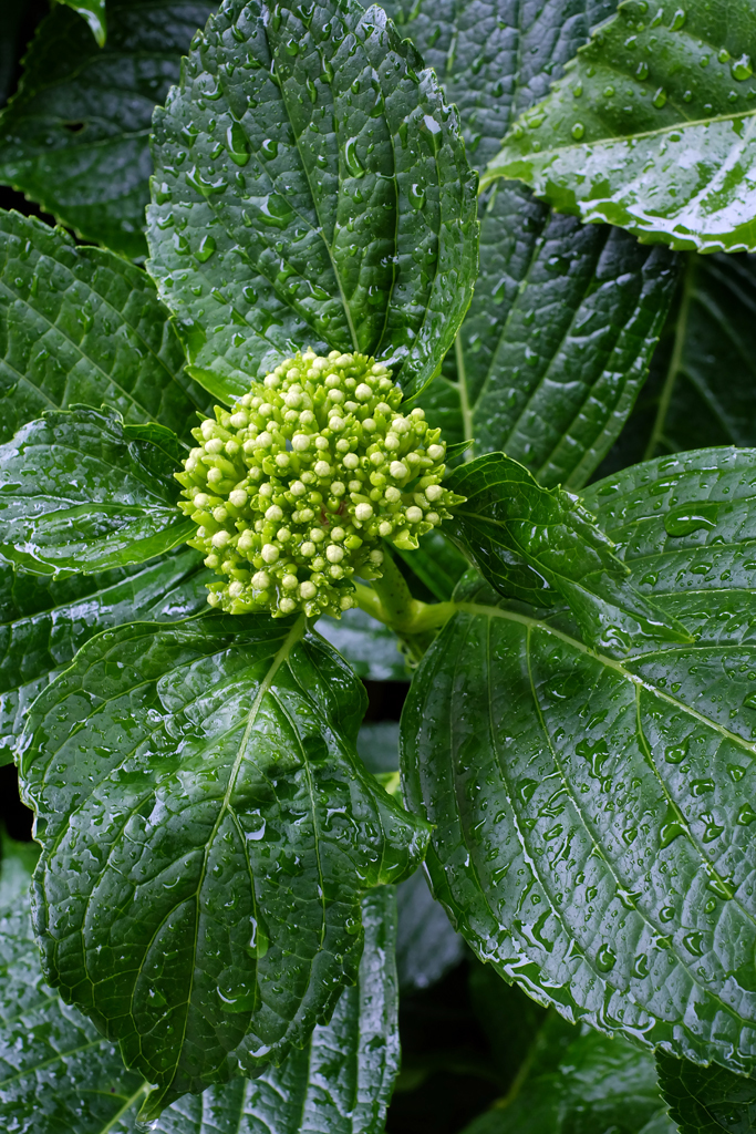 雨の週末 4