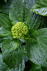 雨の週末 4