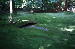野々宮神社散策2