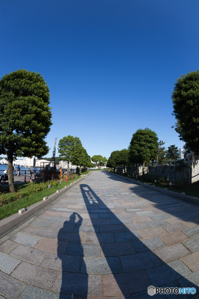 背比べ