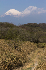 2014GW家族旅行スナップ 10
