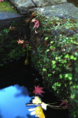 鎌倉長谷寺散策3