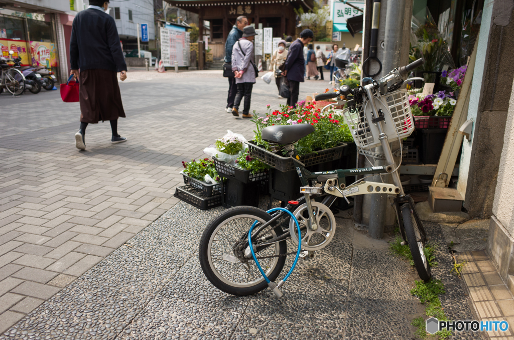 オシャレ自転車